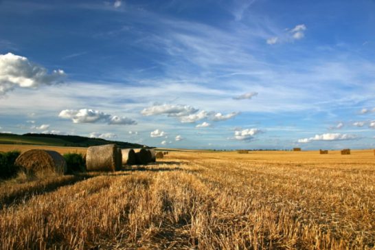 Круглий стіл «Сільськогосподарська кооперація — драйвер соціально-економічних перетворень у громадах»