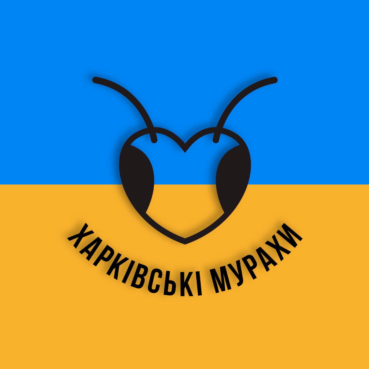 «Харківські мурахи» – велика робота харківських волонтерів