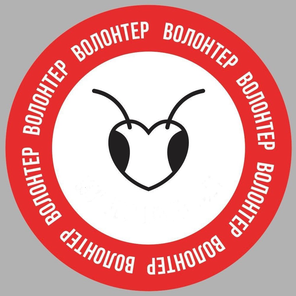 «Мереф’янські мурахи» — волонтерська група, яку не зупинити